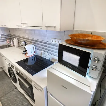 Spacious 2br Steps From Metro, Ac & Gated Parking Apartment Budapest